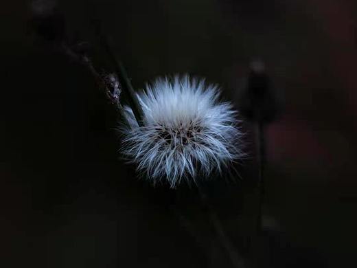 随拍（个人主页-ZNTAwODE0NDg=） - 风光摄影 - 站酷设计师请你吃雪糕原创素材 - 站酷ZCOOL