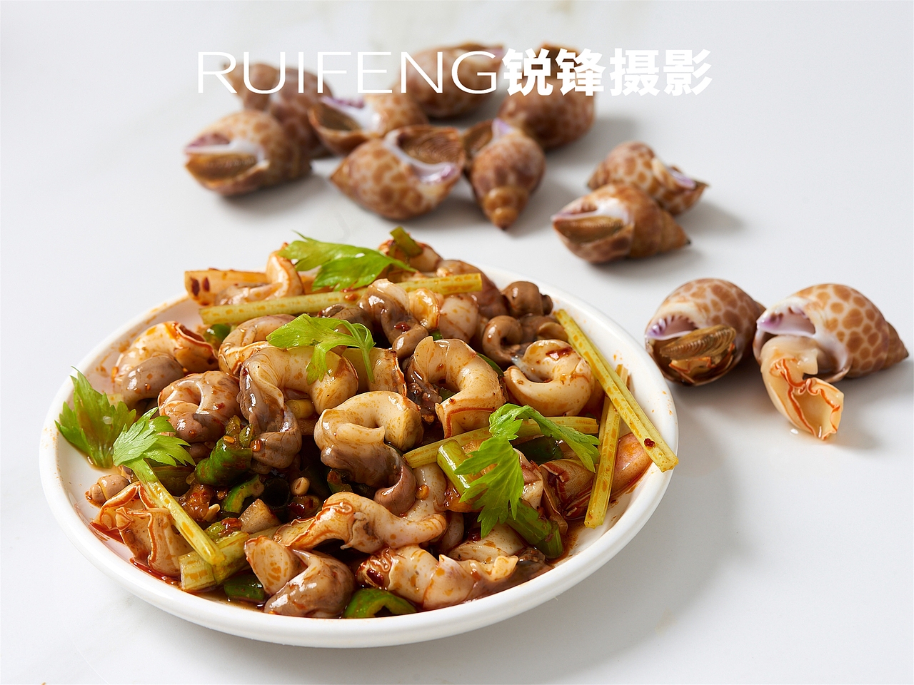 水产品拍摄|静物摄影|海鲜|花螺|RUIFENG武汉锐锋摄影