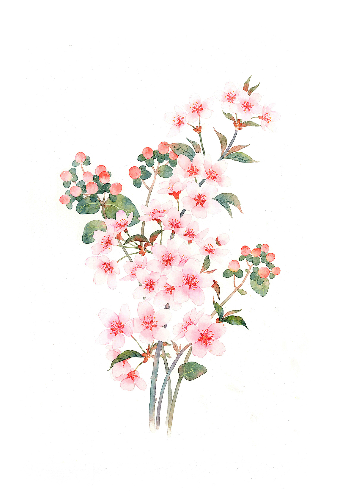 水彩手绘 花卉组合（图ZMTY4ODg3MzQw） - 绘画 - 站酷设计师山子莓原创素材 - 站酷ZCOOL