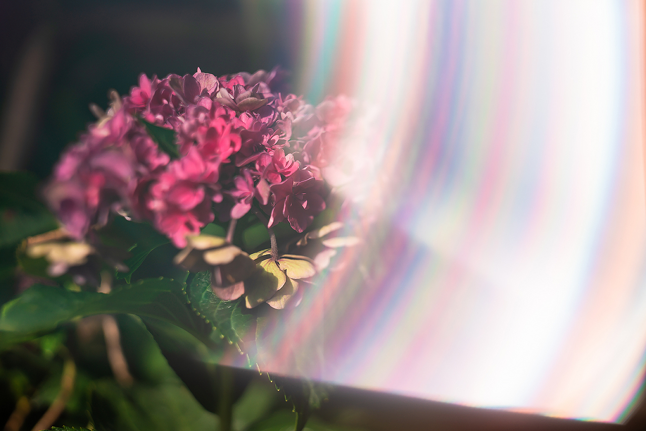 《要有光》（图ZMzA5OTYyNTM2） - 风光摄影 - 站酷设计师Alex1205原创素材 - 站酷ZCOOL