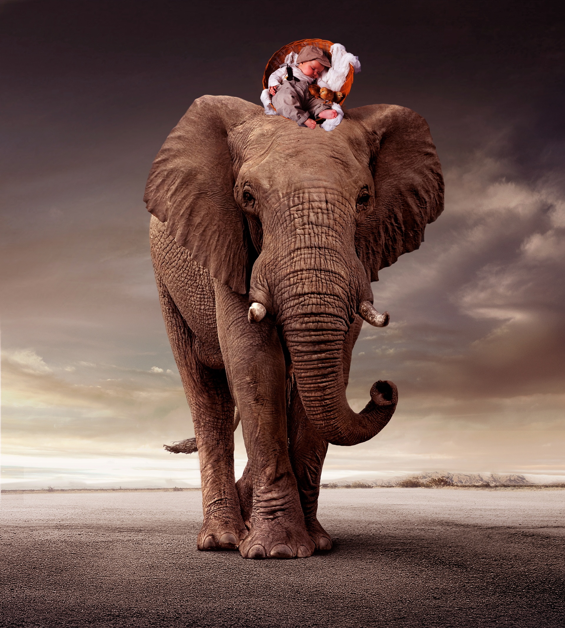 2016创意合成图集