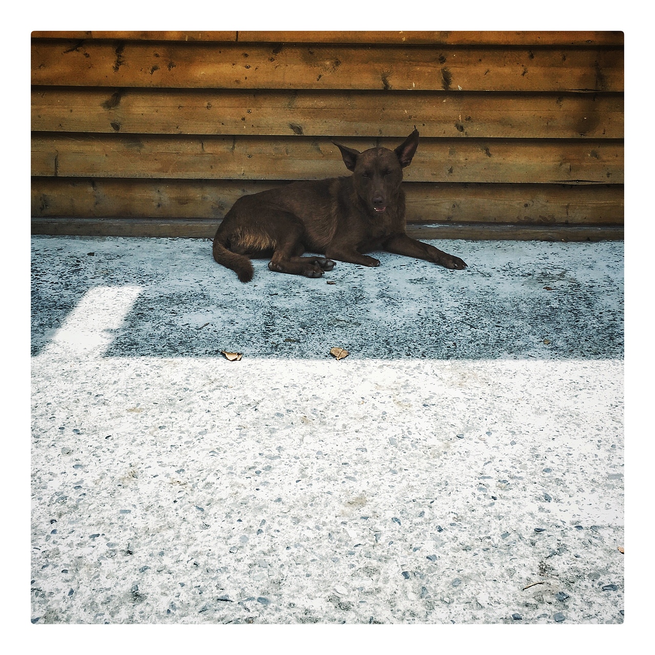 手机摄影散杂集（图ZNjk5MTgzOTI=） - 其他摄影 - 站酷设计师唐大王原创素材 - 站酷ZCOOL