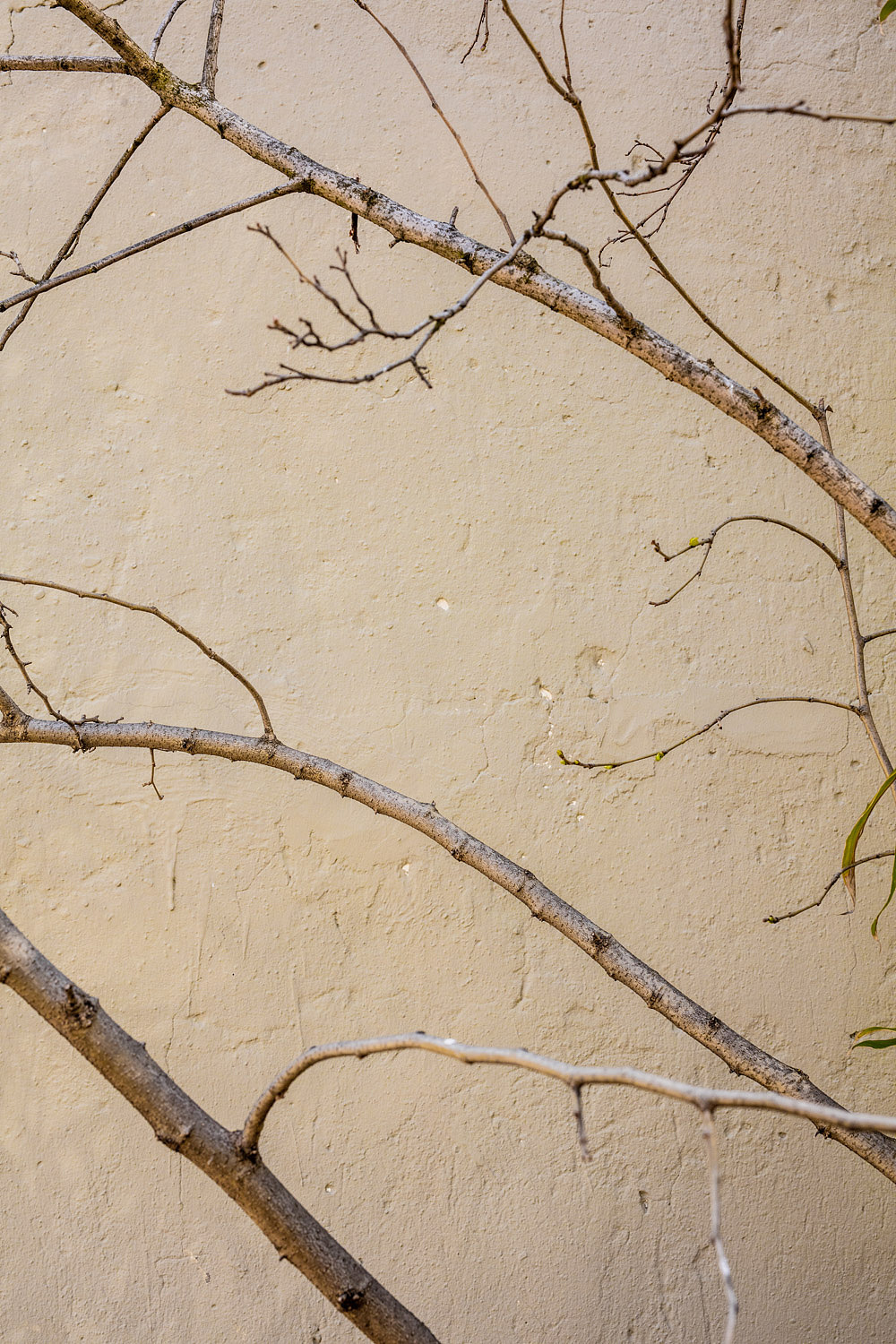 Fakenatoo 17 FW（图ZOTY1NjI0NTI=） - 时尚/艺术摄影 - 站酷设计师诺亚大象原创素材 - 站酷ZCOOL