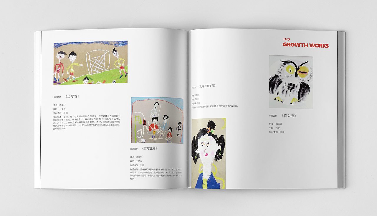 青争美术艺术画册（图ZMjY4MDMwMjg0） - 书籍/画册 - 站酷设计师色彩斑斓的长脖鹿原创素材 - 站酷ZCOOL