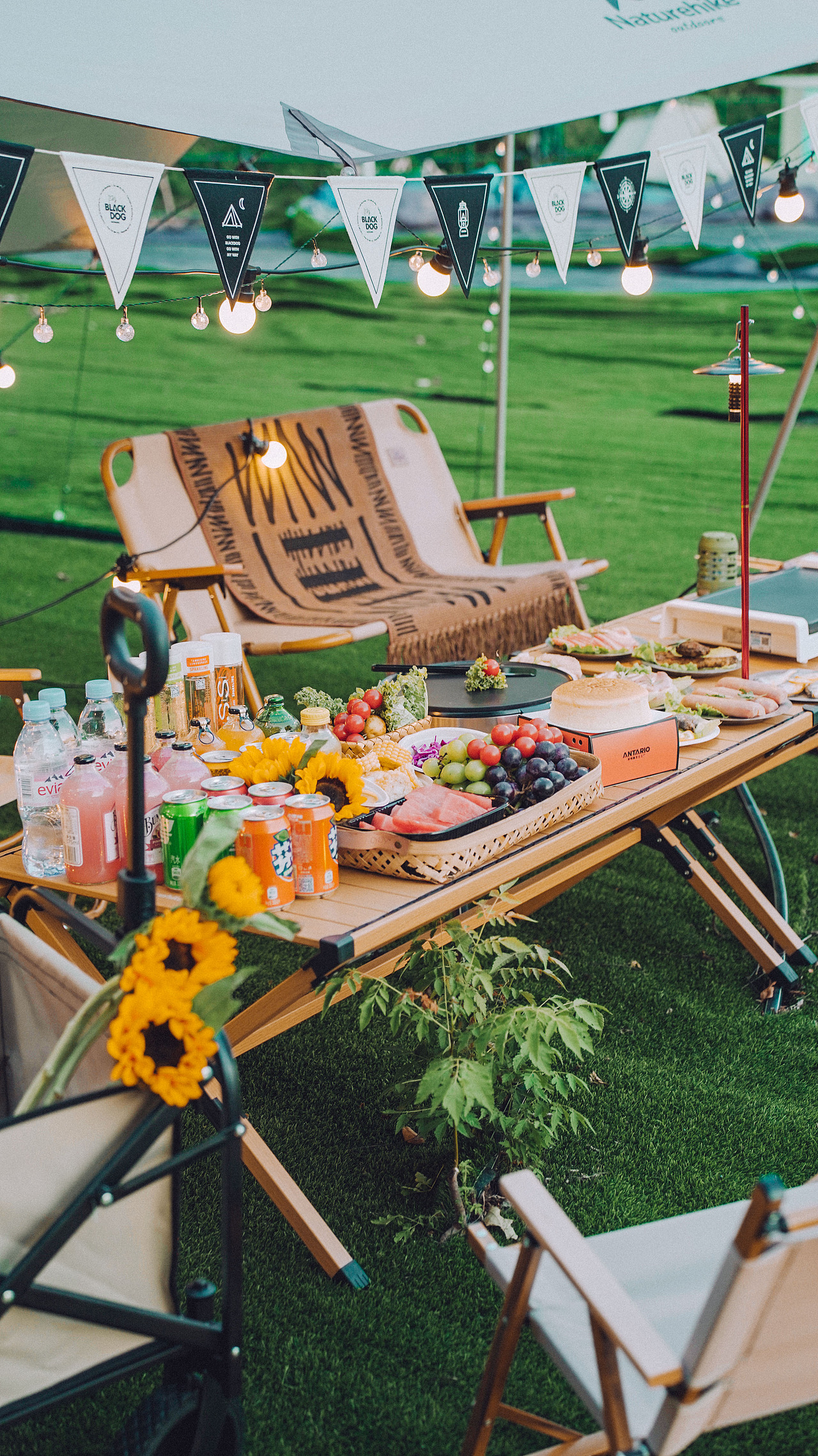 南京绿博园左岸花海露营_郭子啊-站酷zcool