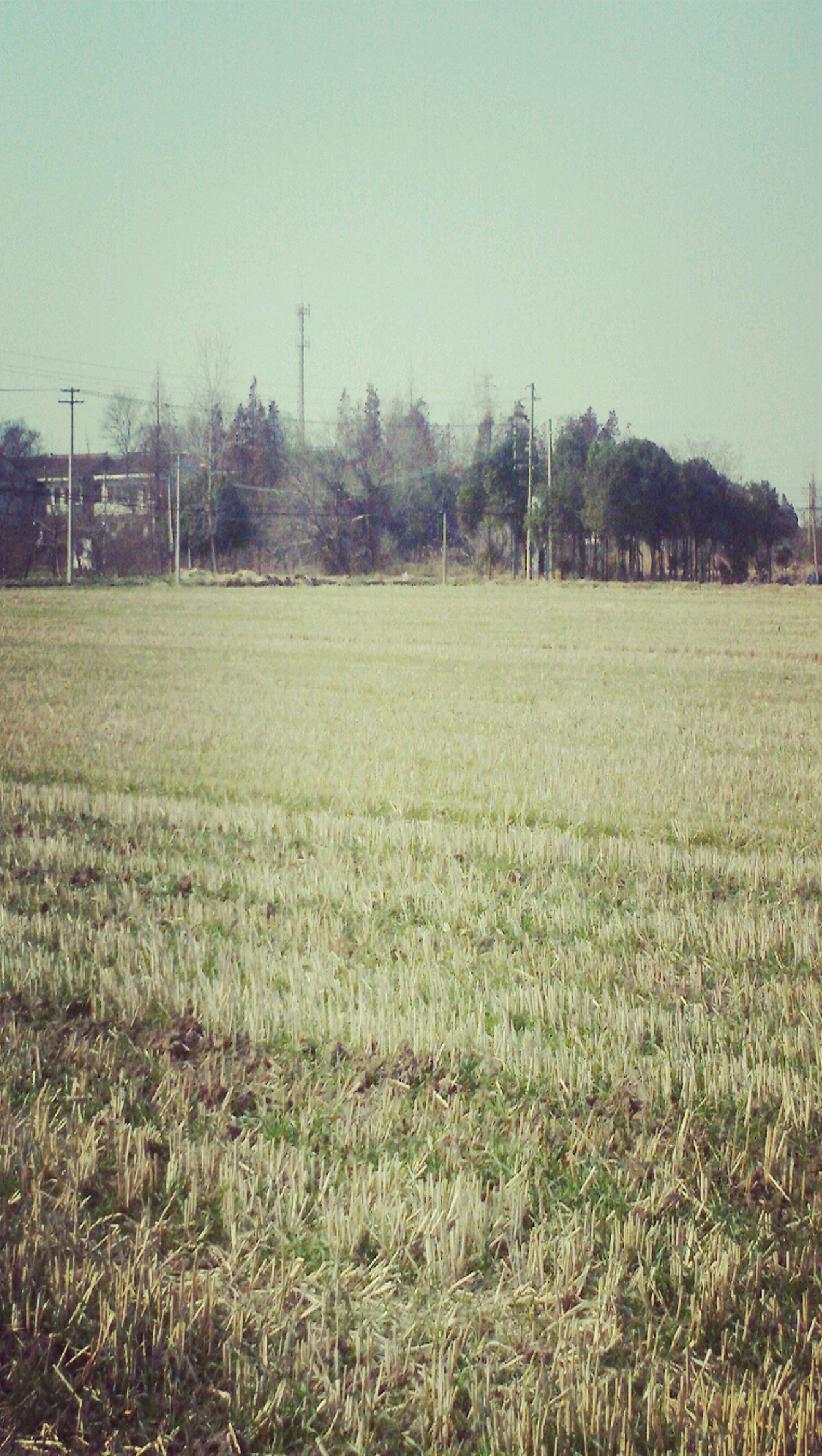 冬日·静谧（图ZMzY2ODQ4Njg=） - 其他摄影 - 站酷设计师IssueBeam原创素材 - 站酷ZCOOL