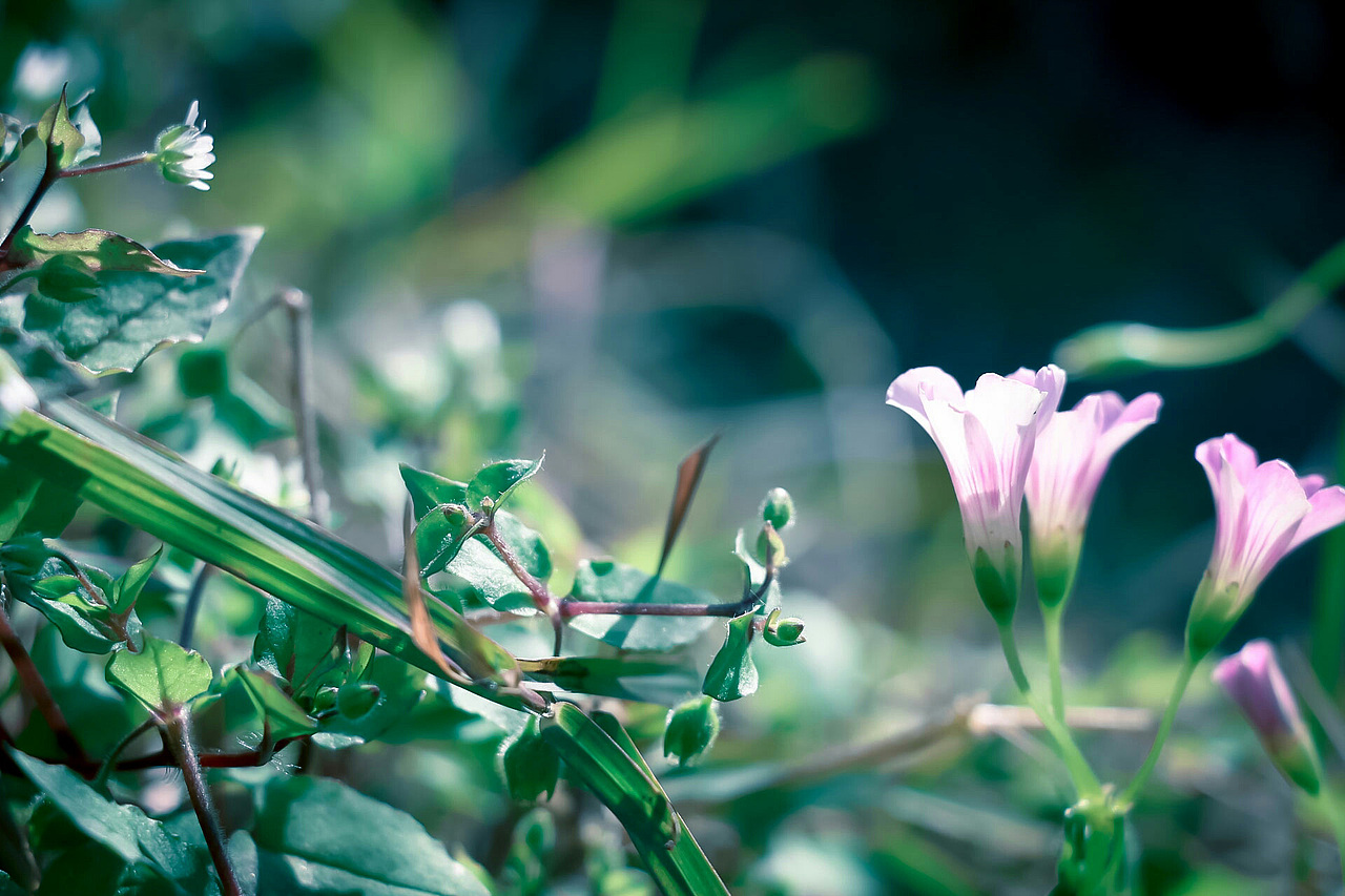 新年随手拍拍拍