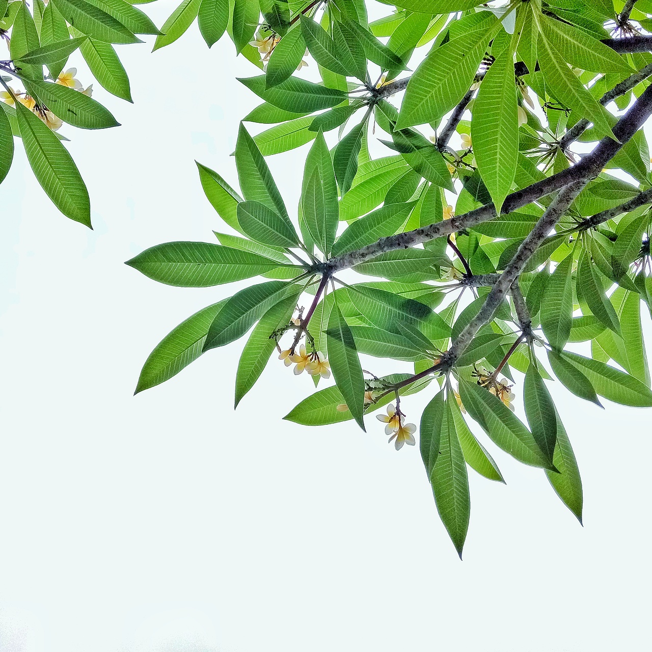 瞎拍瞎排的小美好