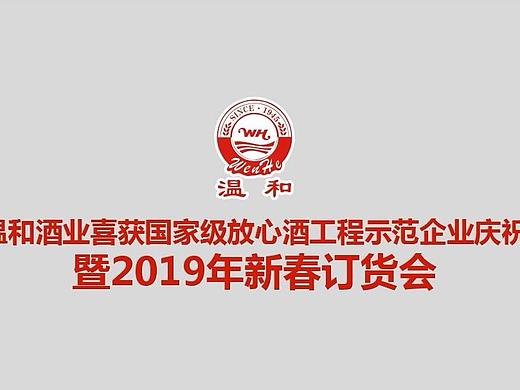 2019年春节订货会开场视频--快闪