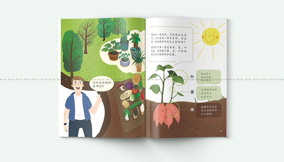 剑桥儿童绘本——植物的世界（图ZMjIwNTkzNjQ4） - 绘本 - 站酷设计师艺之光设计原创素材 - 站酷ZCOOL