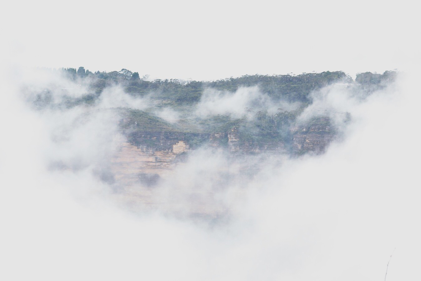 展研設(shè)計坊的個人主頁（背景預(yù)覽） - 主頁背景設(shè)置 - 站酷設(shè)計師展研設(shè)計坊原創(chuàng)素材 - 站酷ZCOOL