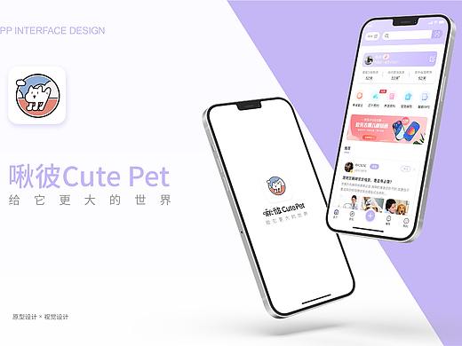 啾彼宠物APP