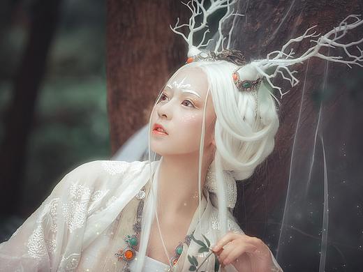 《灵仙圖志·白鹿》