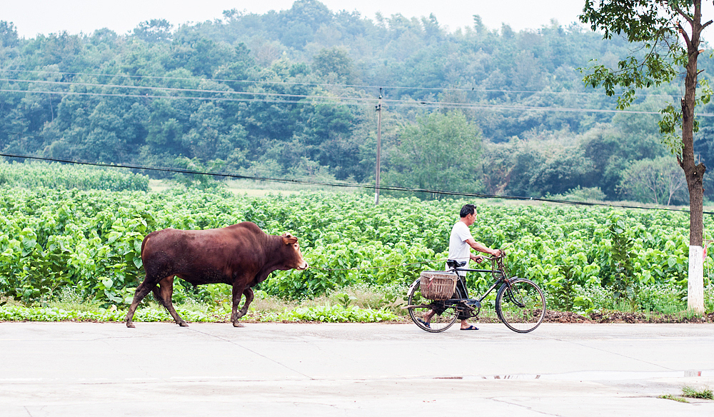 2015.09.30-10.06 故湘纪