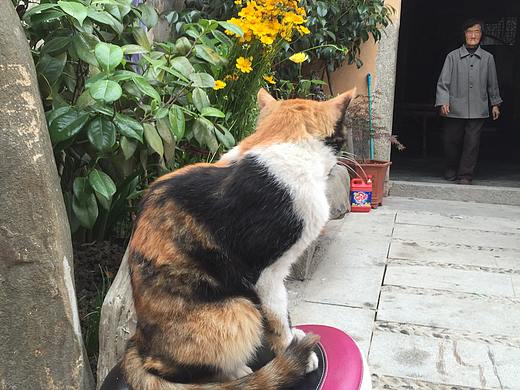 《隨拍》（個人主頁-ZMzQ0MDQzNTY=） - 其他攝影 - 站酷設計師Z10904652原創(chuàng)素材 - 站酷ZCOOL