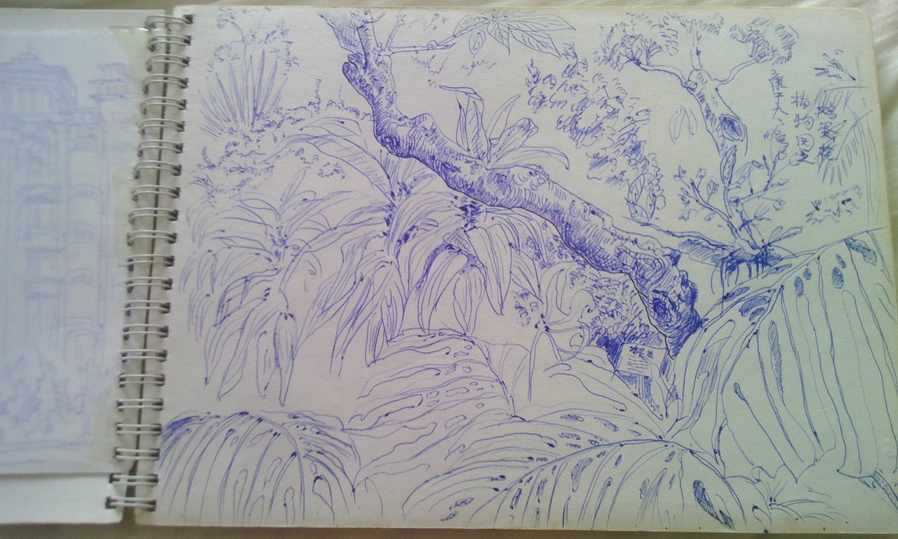 自己的04年—09年的本子,画满了快乐和悲伤~~~~~~