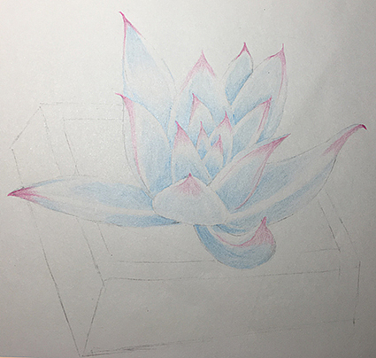 手绘多肉6 彩绘过程（图ZOTAzMjE2ODg=） - 创作习作 - 站酷设计师nawangna原创素材 - 站酷ZCOOL