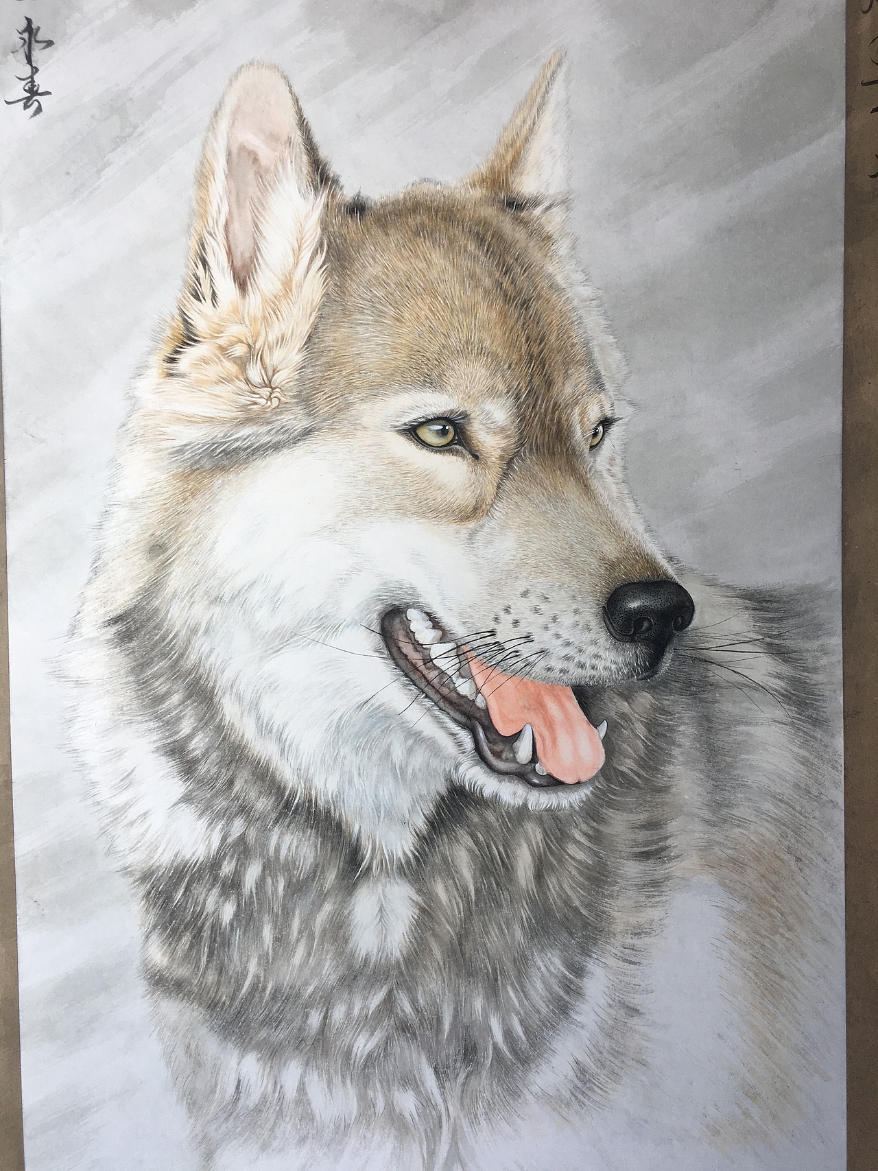 狼（图ZMTc3MzA3MDky） - 绘画 - 站酷设计师通辽李永春绘画原创素材 - 站酷ZCOOL