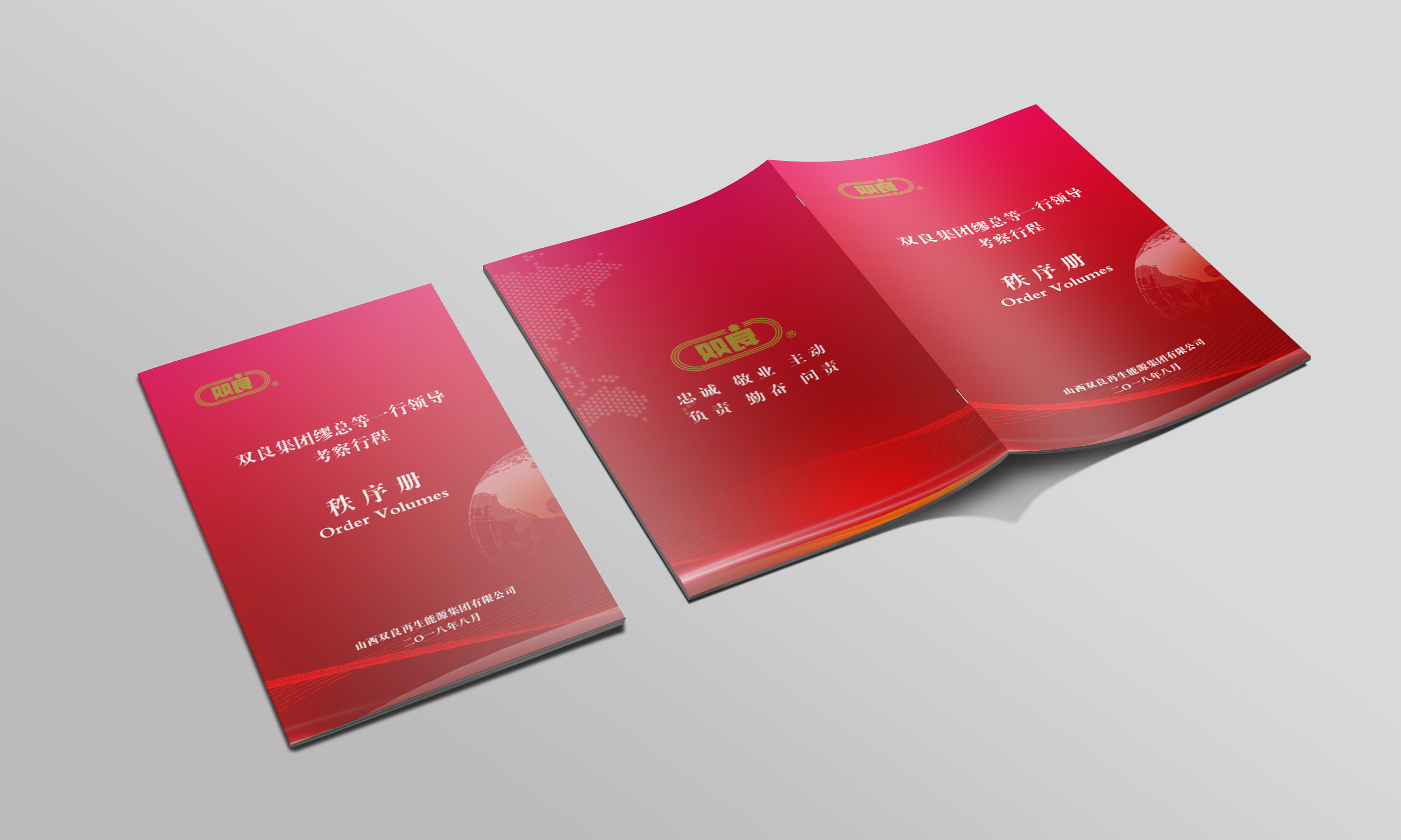 领导视察秩序册合集(一)