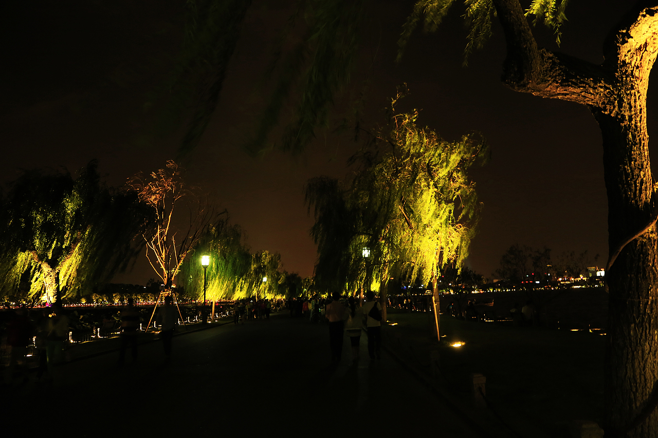 摄影 | 竹林童话和那些花儿（图ZMjc1MzE3NjQ0） - 风光摄影 - 站酷设计师周振凯品牌设计原创素材 - 站酷ZCOOL