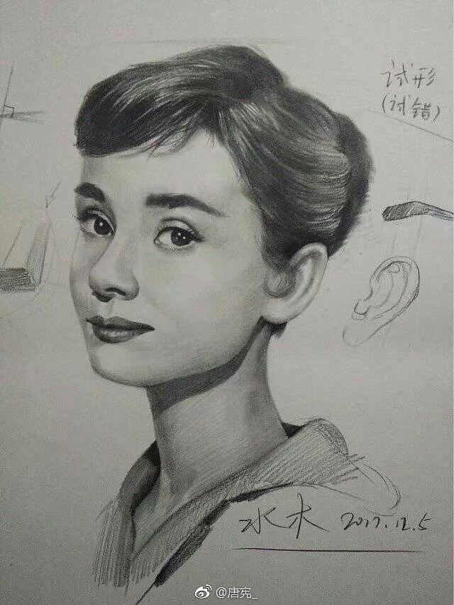 唐宪素描(基础 静物 人物 动物 风景)