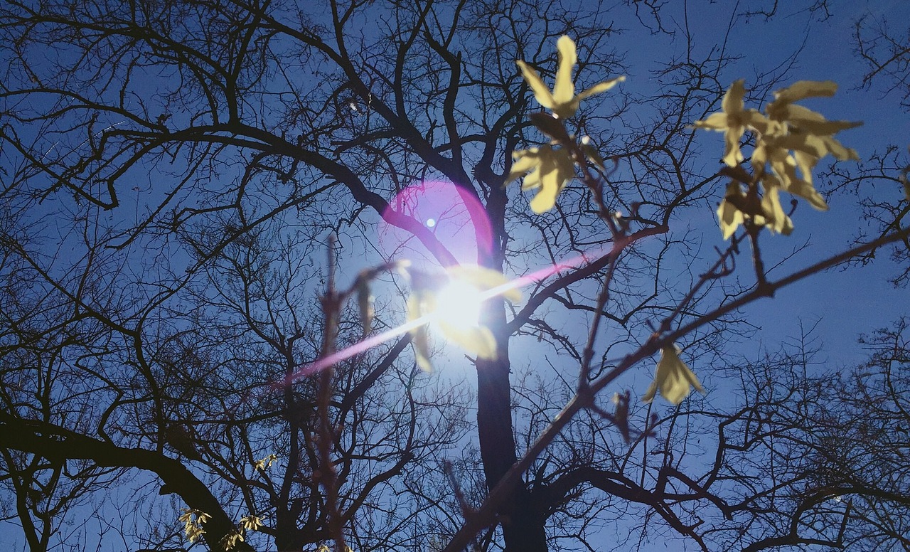 【北京玉渊潭公园】