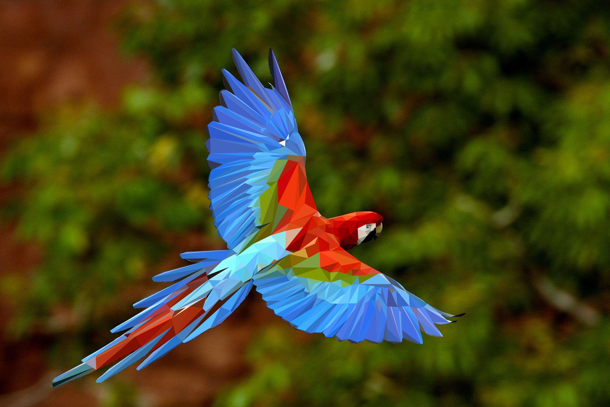 鹦鹉的色彩分解练习