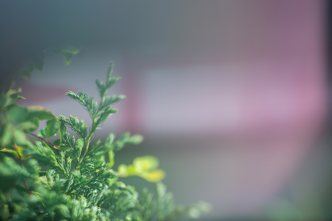 《要有光》（图ZMzA5OTYyNTQw） - 风光摄影 - 站酷设计师Alex1205原创素材 - 站酷ZCOOL