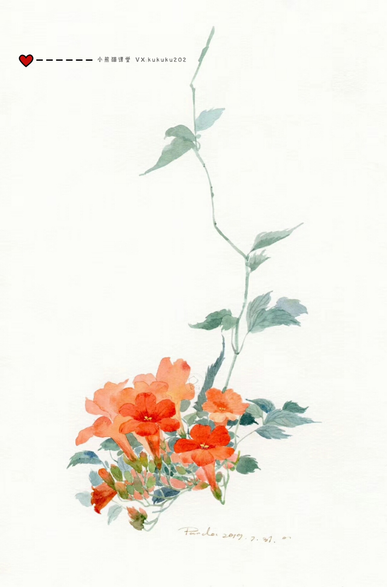 水彩手绘花朵植物插画水彩教程卡通插画头像壁纸卡通