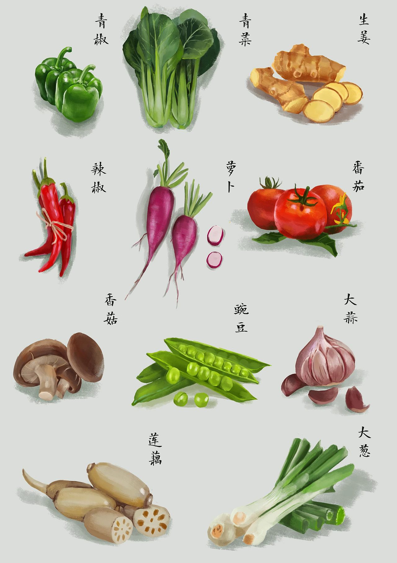 青菜萝卜 各有所爱