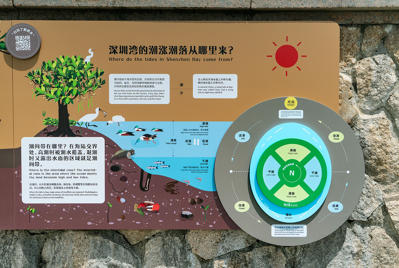 深圳湾公园湿地主题解说牌（图ZMjk1MDM5MzQ4） - 图案 - 站酷设计师tofu豆腐原创素材 - 站酷ZCOOL