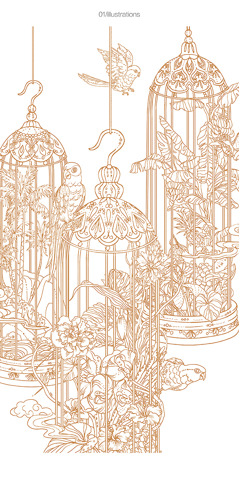 聪明白菜/囚鸟🐦（图ZMTQ4ODEzNzUy） - 商业插画 - 站酷设计师聪明白菜原创素材 - 站酷ZCOOL