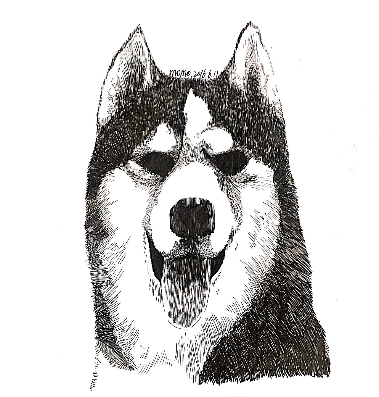 动物钢笔画手绘