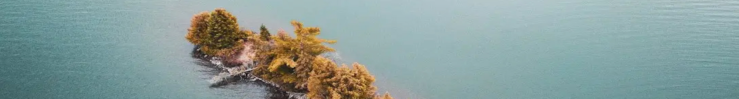 guoxiaofang44的个人主页（封面预览） - 主页封面设置 - 站酷设计师guoxiaofang44原创素材 - 站酷ZCOOL