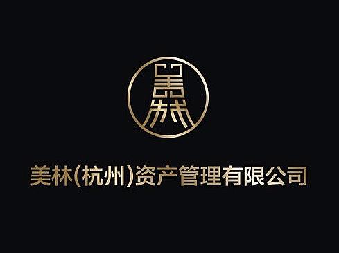 资产管理公司VI设计提案，logo设计方案