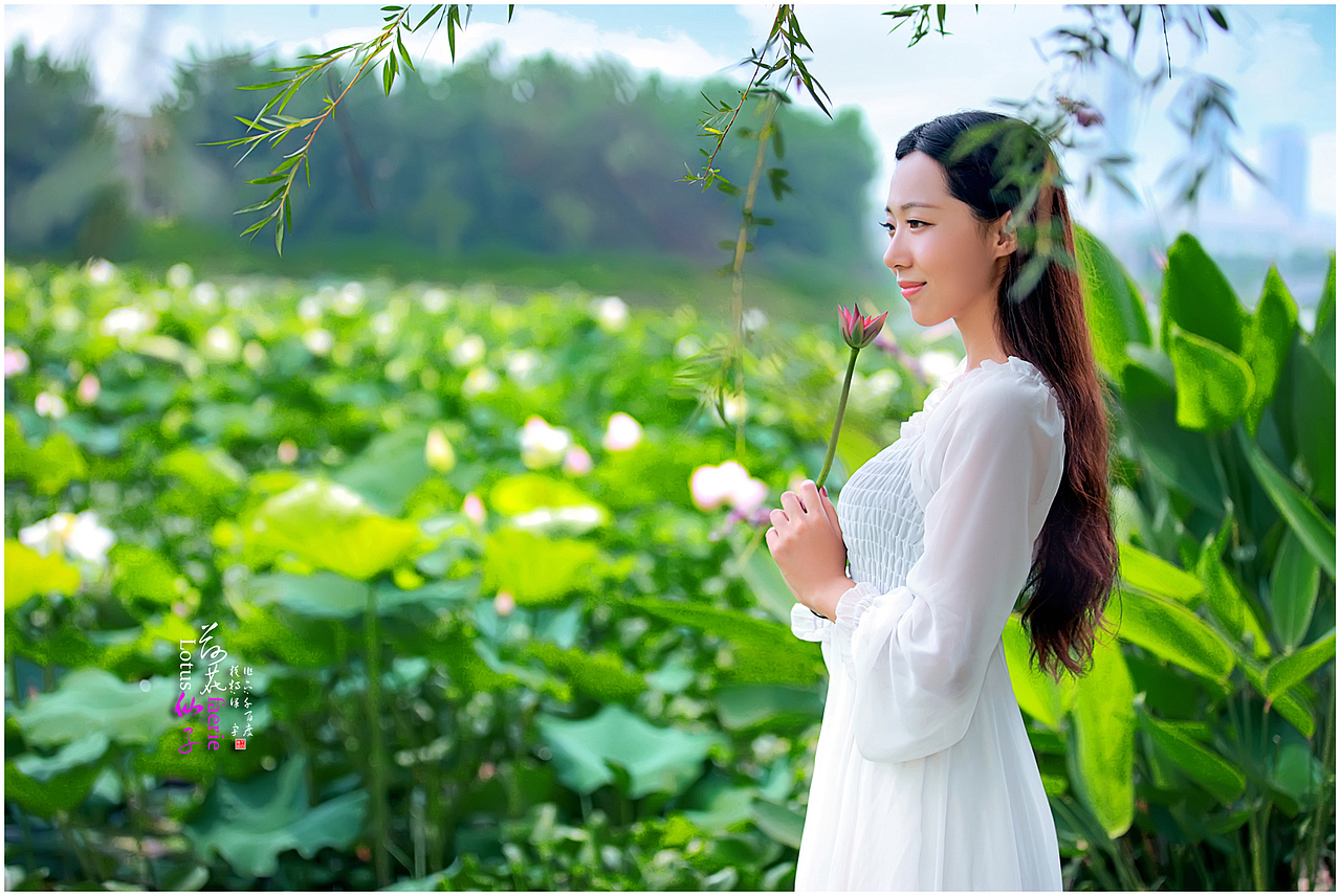 [荷花仙子]（圖ZMjk5OTE5MTI=） - 人像攝影 - 站酷設(shè)計師千百度vip原創(chuàng)素材 - 站酷ZCOOL