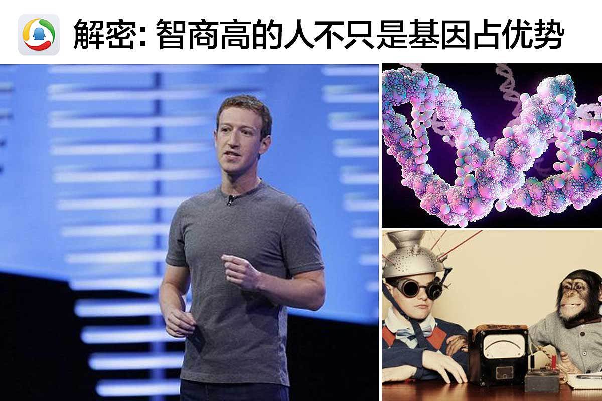 电商信息流--游戏,交友,汽车,知识问答等