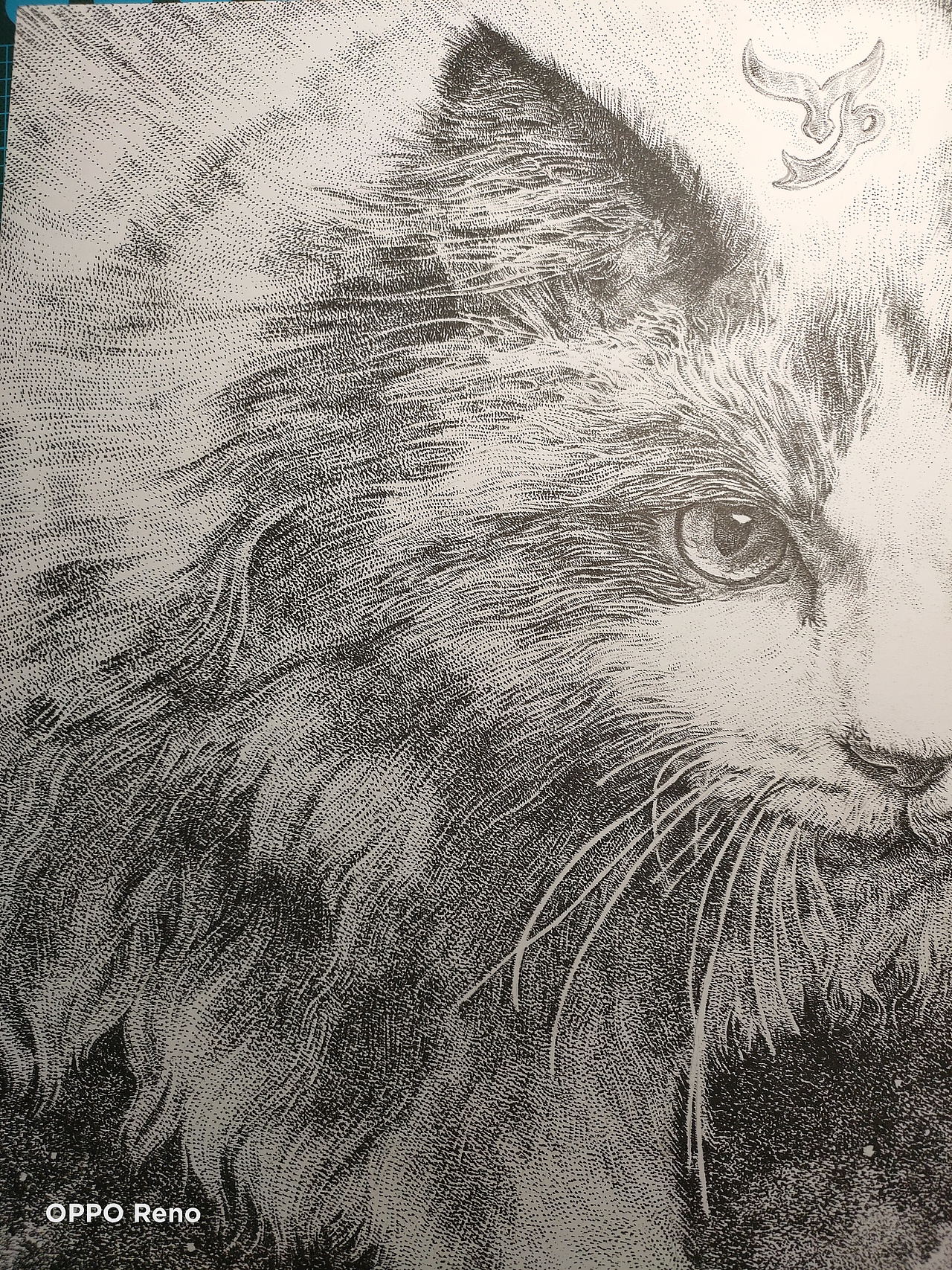 喵星传,第二季,摩羯莅临