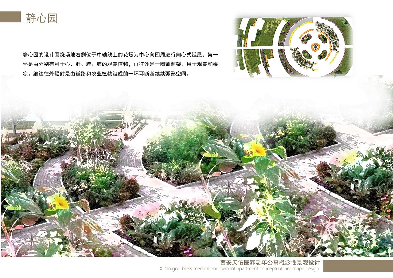 归园田居敬老院景观设计（图ZNzA2ODI1MTI=） - 景观设计 - 站酷设计师调色板22原创素材 - 站酷ZCOOL
