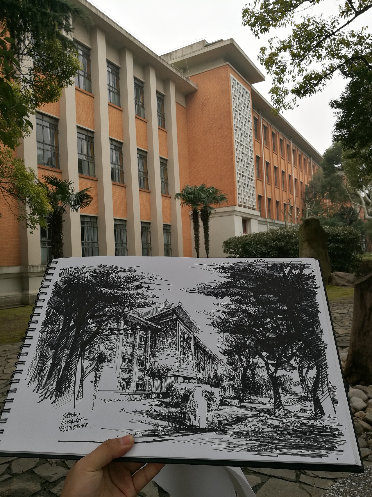 同济大学校园风景钢笔画