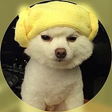BiteFight的头像