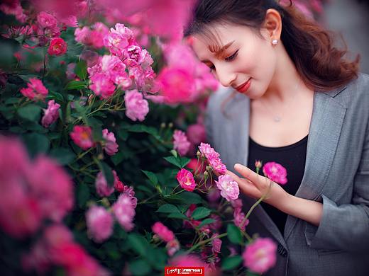 《蔷薇车站》
