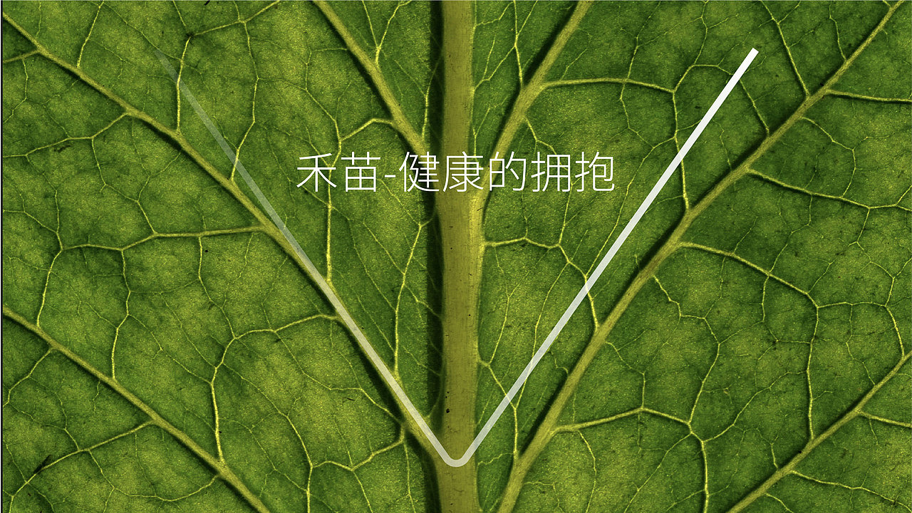 绿沃川农业