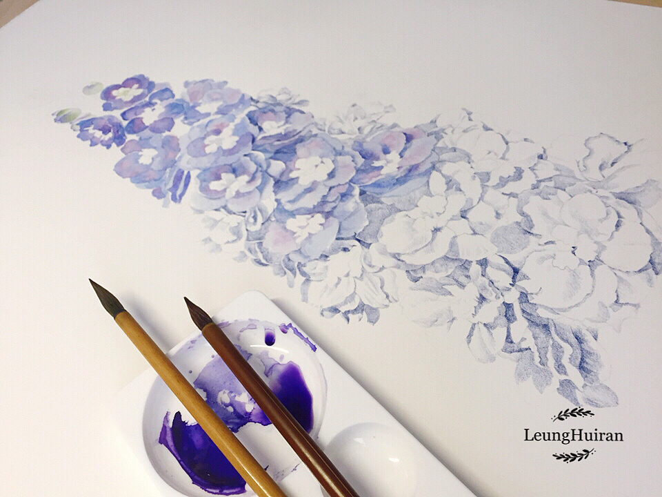 彩铅植物花卉-精微素描花卉