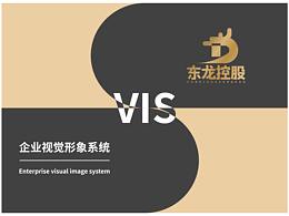 VIS設(shè)計(jì)-東龍控股