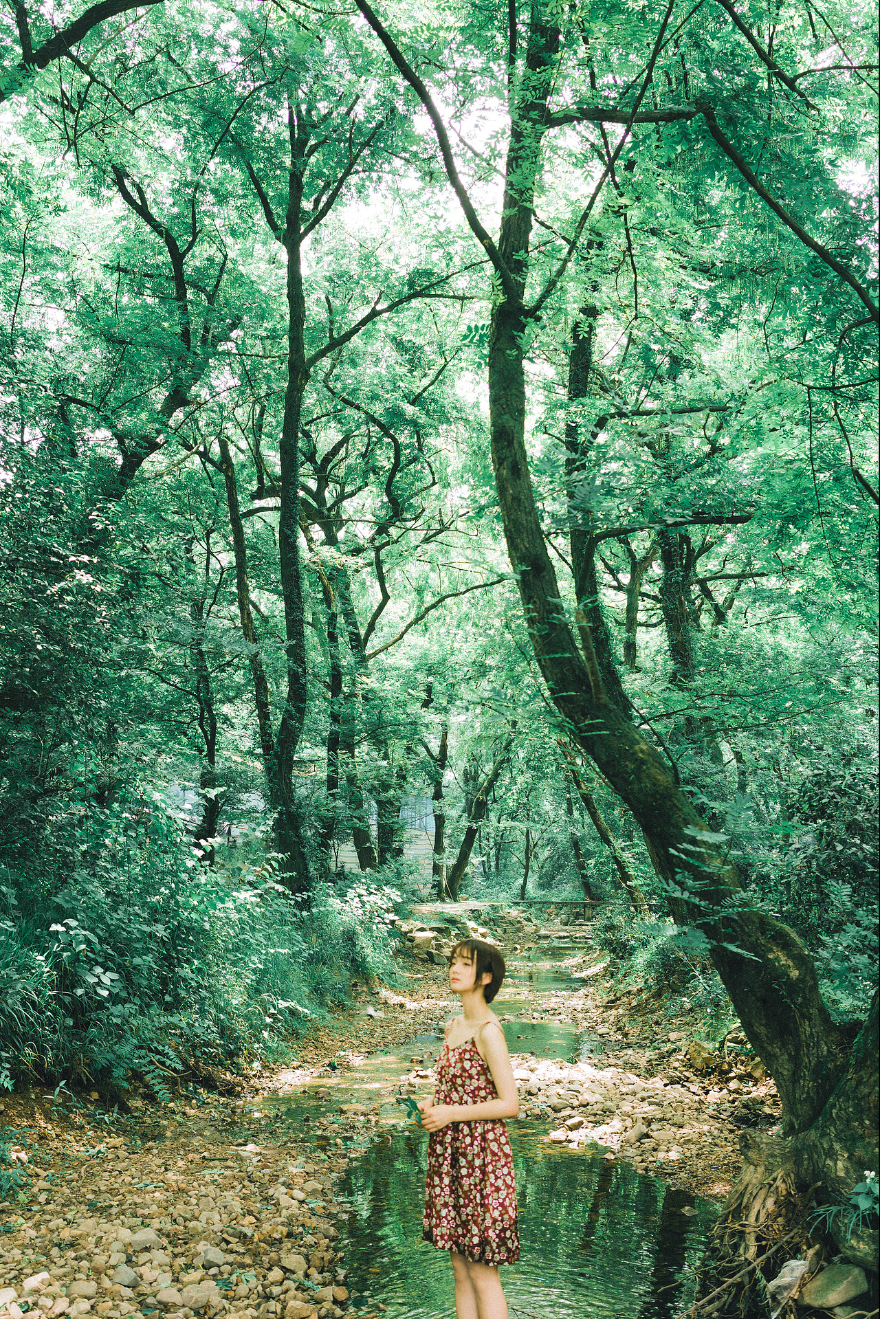 我想你知道 夏天的味道