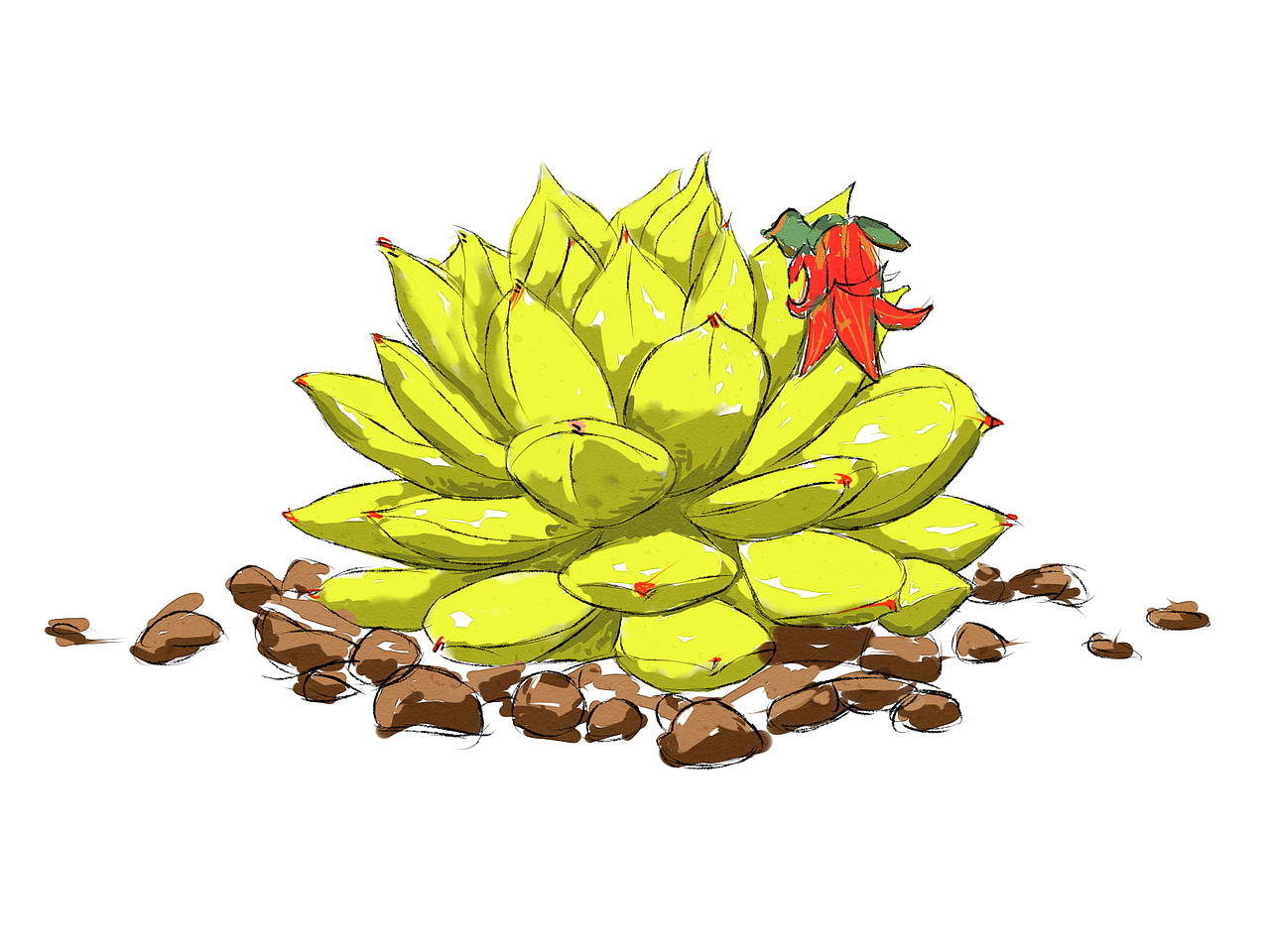 多肉 水彩 插画（图ZMzAyNTE1ODg=） - 艺术插画 - 站酷设计师修壹原创素材 - 站酷ZCOOL