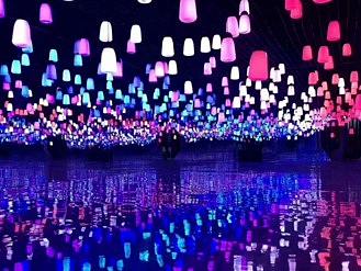 文旅夜游呼吸森林