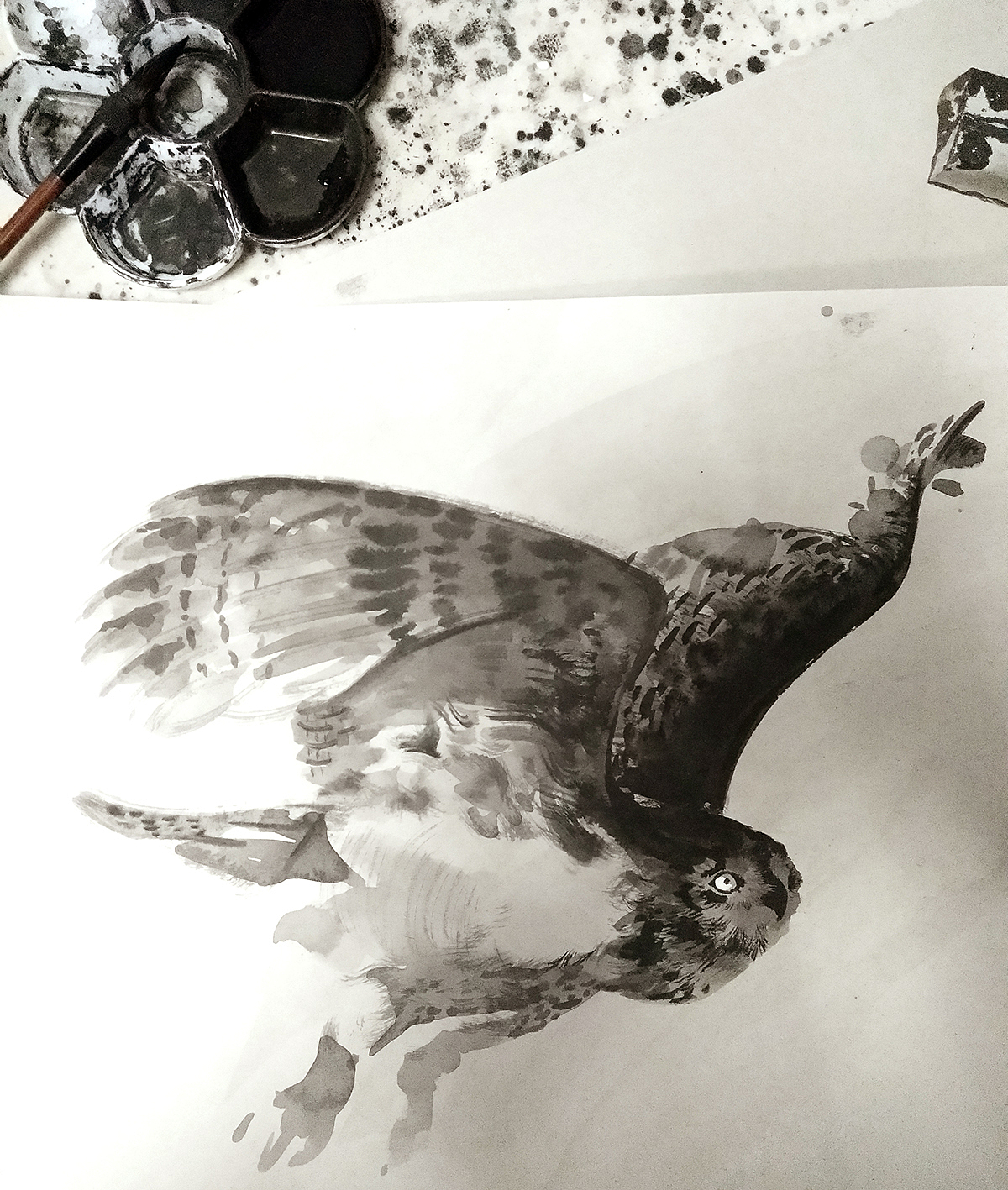 顺湿顺势，浓淡相宜