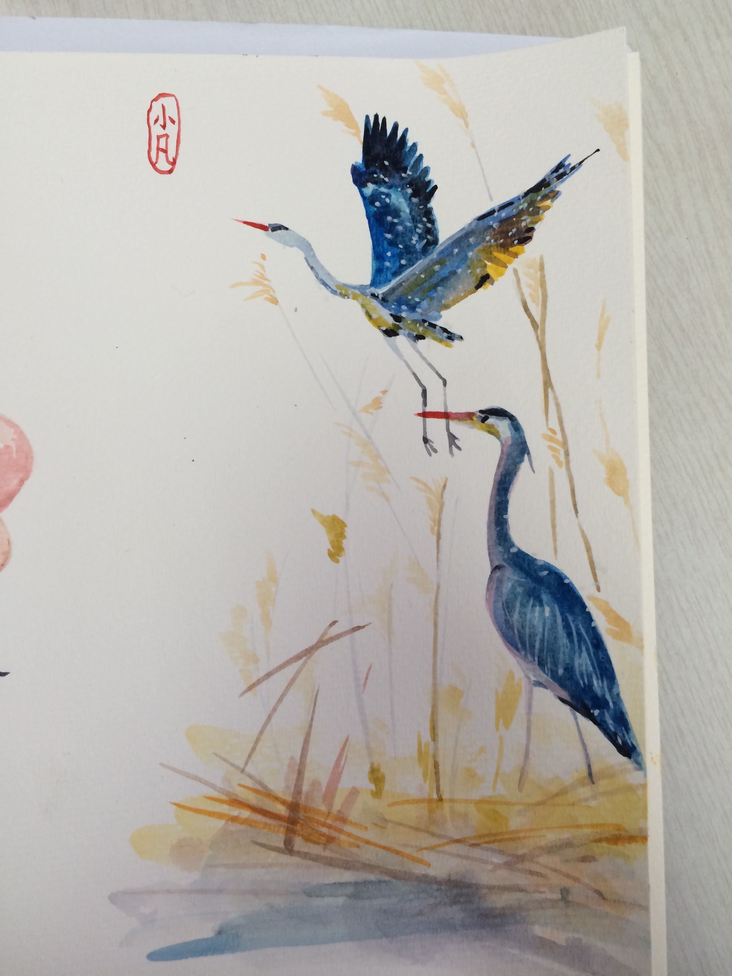 水彩——鹤